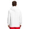 MEN'S HALF DOME PULLOVER HOODIE