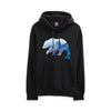 MEN'S BEAR PULLOVER HOODIE